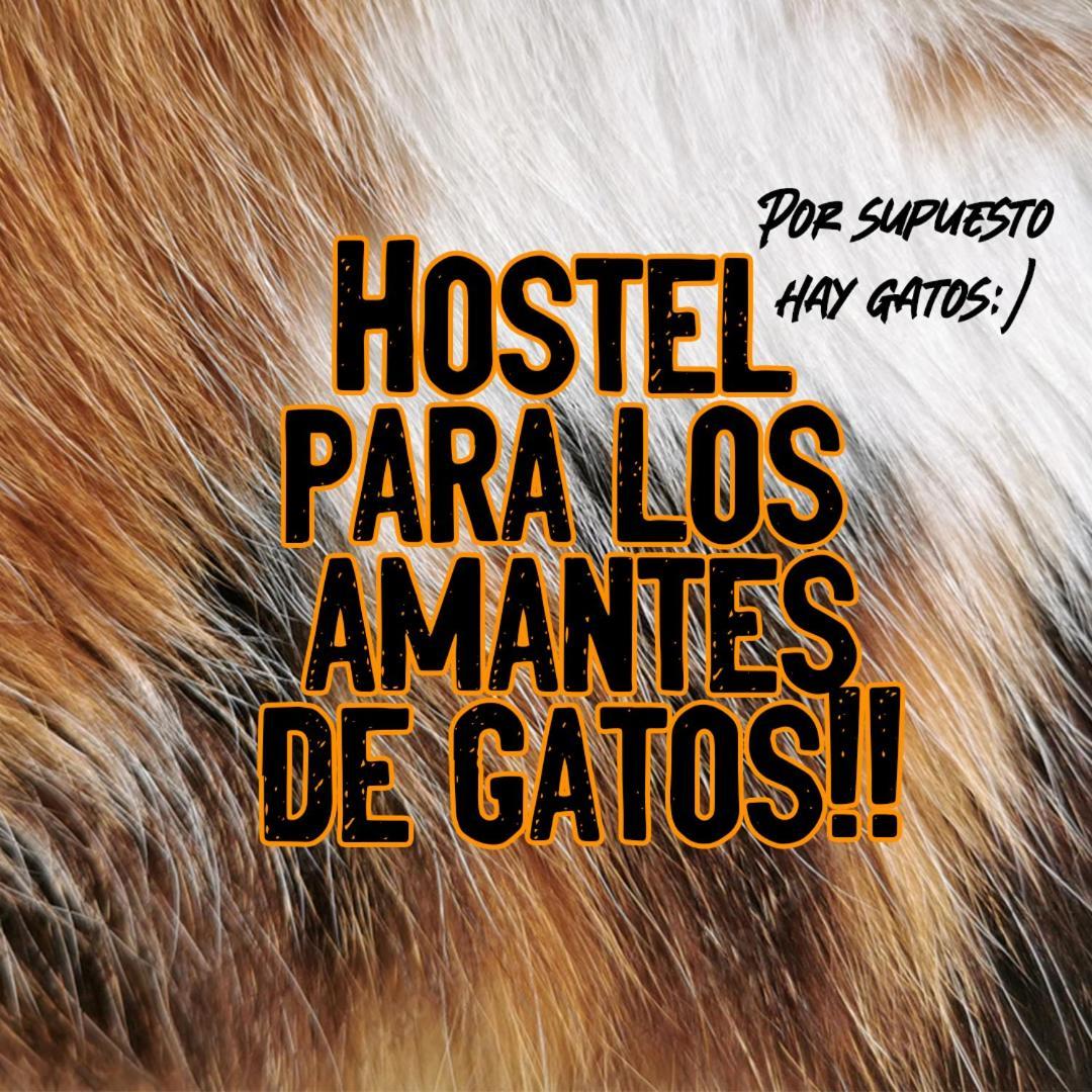 Posada De Los Gatos Bed & Breakfast Puerto Natales Exterior foto